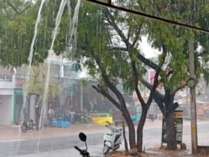Bhopal06जनवरी25*जनवरी-फरवरी में होगी बारिश, किसानों के लिए मौसम वैज्ञानिकों की सलाह*