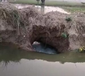 कौशांबी08जनवरी25*नहर के टूटने से सैकड़ों बीघा फसल जल मग्न होने से बर्बाद*