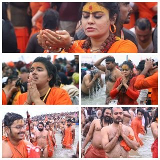 महाकुम्भनगर14जनवरी25*इंजीनियरिंग और मॉडलिंग छोड़ पुरातन सनातन से जुड़ रहे युवा*