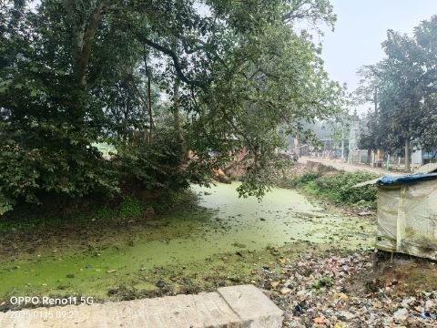 अयोध्या15जनवरी25*स्तित्व खोता जा रहा तालाब, समाजसेवी ने उठाई सौंदर्यीकरण की मांग