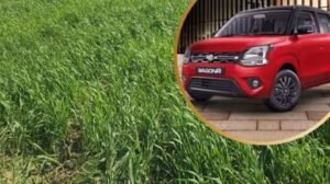 सहारनपुर10फरवरी25*गूगल मैप ने दिया 'धोखा' और खेत में पहुंची कार, रात में मदद करने पहुंचे युवक लूट ले गए गाड़ी