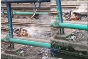 पटना16फरवरी25*मिनटों में जिंदा जल गया युवक' पटना जंक्शन पर 25000 हाई वोल्टे तार की चपेट में युवक की मौत,*