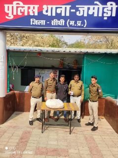 सीधी22फरवरी25*नशीली कफ सिरप की बिक्री करने जा रहे आरोपी को जमोड़ी पुलिस नें किया गिरफ्तार