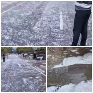 लखनऊ01मार्च25*मुख्यमंत्री ने बारिश और ओलावृष्टि के दृष्टिगत अधिकारियों को पूरी तत्परता से राहत कार्य संचालित करने के निर्देश दिए