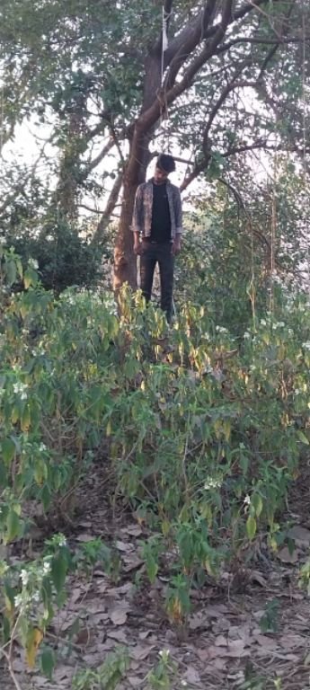 पिहानी09मार्च25*युवक ने फांसी लगा कर दी जान, घरेलू कलह की वजह से उठाया खौफनाक कदम