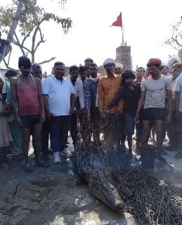 सुल्तानपुर13मार्च25*तालाब में फंसा मगरमच्छ,ग्रामीणों ने पकड़ा,प्रधान ने दिया इनाम* सुल्तानपुर13मार्च25*तालाब में फंसा मगरमच्छ,ग्रामीणों ने पकड़ा,प्रधान ने दिया इनाम*