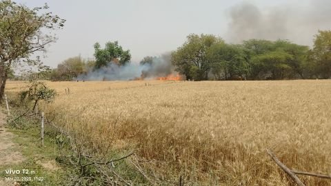 कौशाम्बी28मार्च25*एक बीघे गेहूं की खेत की फसल जलकर खाक*