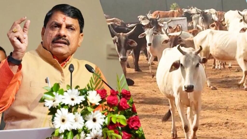 *भोपाल17अप्रैल25*कैबिनेट की बैठक में अन्नदाता मिशन को दी गई स्वीकृति, सतना में अस्पताल बनेगा‌