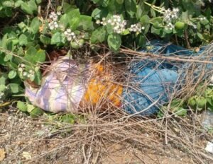 दिल्ली 24अप्रैल25 से सटे गुरुग्राम मे 30 वर्ष की रुपाली मर्डर केस