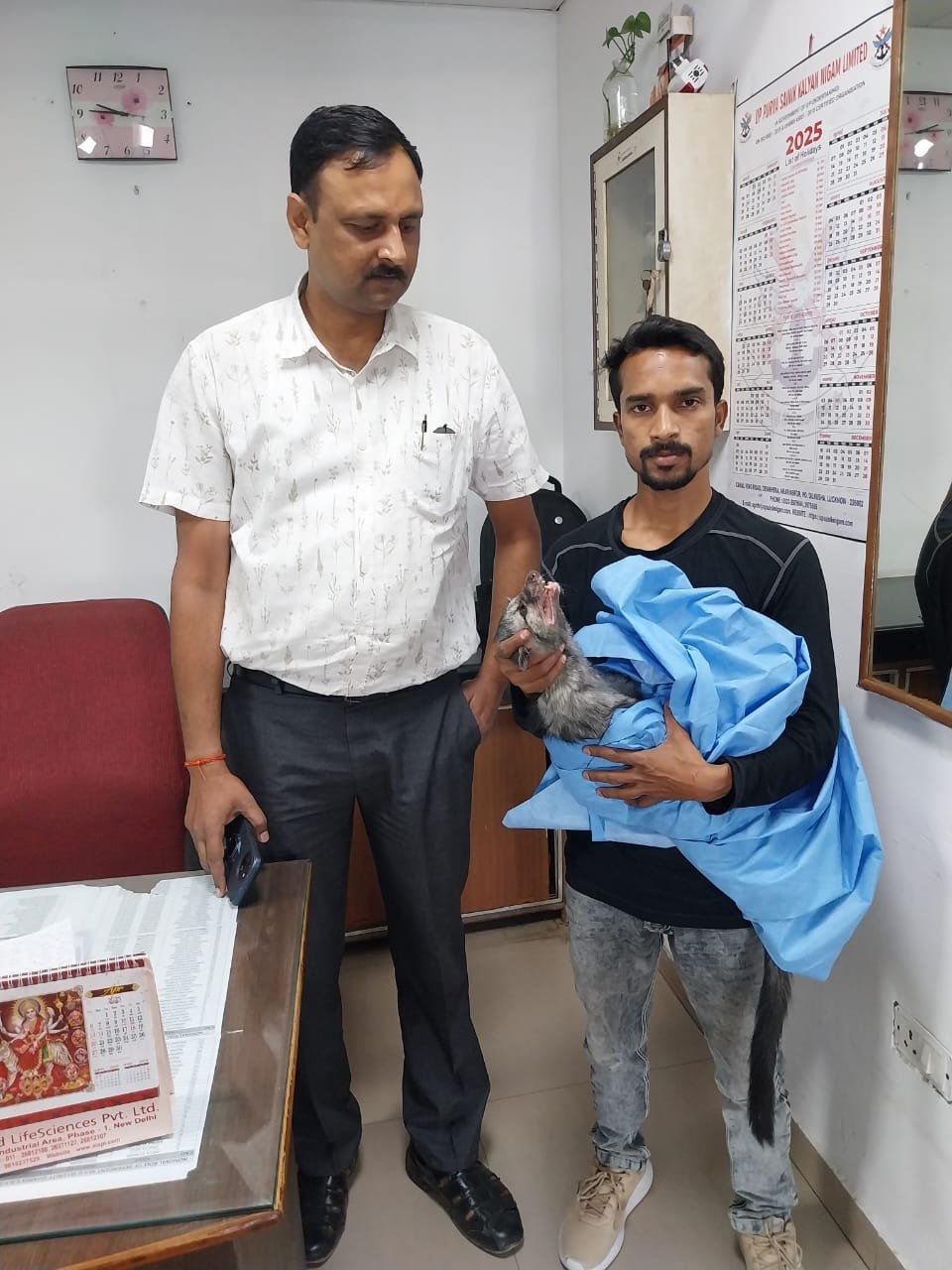 लखनऊ24अप्रैल25 कैट के घुस जाने के बाद हड़कंप मच गया