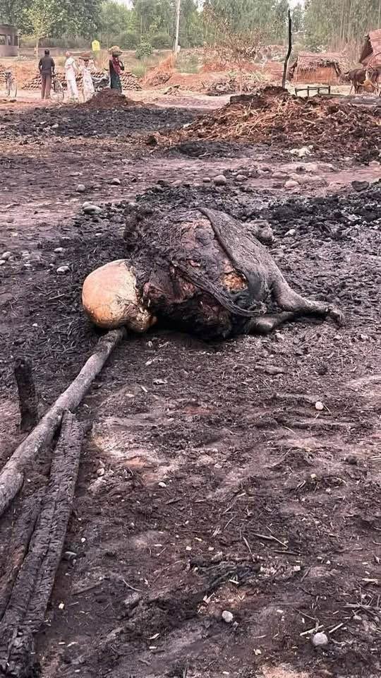 जहानपुर 28अप्रैल28 लोगो के घर जल गये पशु जल गये