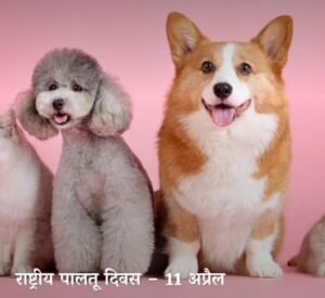 नई दिल्ली राष्ट्रीय पालतू दिवस 11 अप्रैल को राष्ट्रीय पालतू दिवस