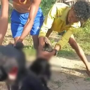 .सुकमा12अप्रैल25। सुकमा में भालू के साथ क्रूरता का वीडियो सोशल मीडिया