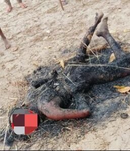 प्रयागराज16अप्रैल25*दलित मजदूर की पीट पीटकर हत्या करके गेहूँ के बोझ में बांधकर जला दिया गया।