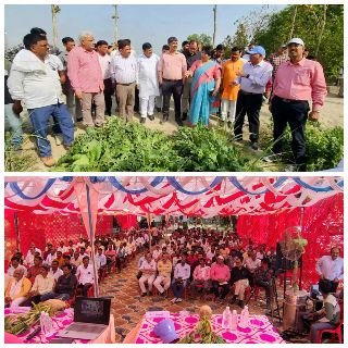 कानपुर नगर25अप्रैल25*बहुत लाभकारी है गन्ने के साथ चुकंदर की खेती