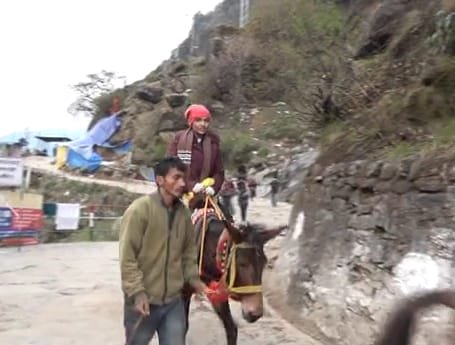 उत्तराखंड12मई25*रुद्रप्रयाग: केदारनाथ धाम में घोड़ा-खच्चरों का संचालन तेज