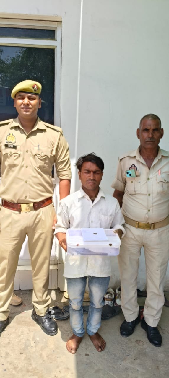 मथुरा17 मई 25* 01 नफर अभियुक्त को गिरफ्तार किया गया अवैध हथियार एवं चोरी के रुपए बरामद*