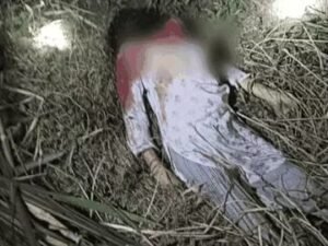 बिजनौर 19मई25*में गुलदार ने महिला को मार डाला, सिर खाया घर से 200 मीटर दूर मिला शव,