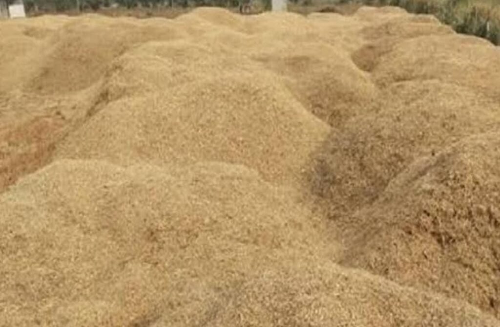 *लखनऊ24मई25*करोड़ो के चारा घोटाले की गूज*