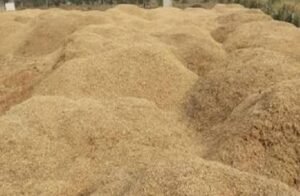 *लखनऊ24मई25*करोड़ो के चारा घोटाले की गूज*