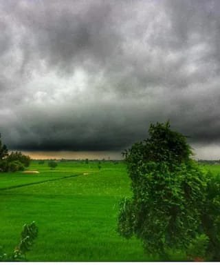 नई दिल्ली24मई25**मौसम विभाग ने 60 जिलों के लिए जारी किया अलर्ट दी