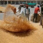 लखनऊ29मई25* गेहूं की सरकारी खरीद में पिछले साल का रिकॉर्ड टूट गया है। इस बार 10.22 लाख टन गेहूं की खरीद हुई है