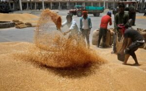 लखनऊ29मई25* गेहूं की सरकारी खरीद में पिछले साल का रिकॉर्ड टूट गया है। इस बार 10.22 लाख टन गेहूं की खरीद हुई है लखनऊ29मई25* गेहूं की सरकारी खरीद में पिछले साल का रिकॉर्ड टूट गया है। इस बार 10.22 लाख टन गेहूं की खरीद हुई है