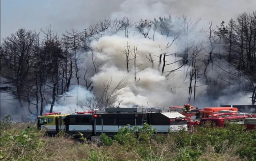 *नई दिल्ली29मई25*दक्षिण कोरिया: नौसेना का गश्ती विमान क्रैश, 4 लोग थे सवार..!*