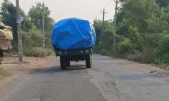 कानपुर नगर1मई25*वन विभाग में तैनात संविदा कर्मी की मिली भगत से लकड़ी माफिया का प्रतिबंधित हरे पेड़ों पर कहर जारी