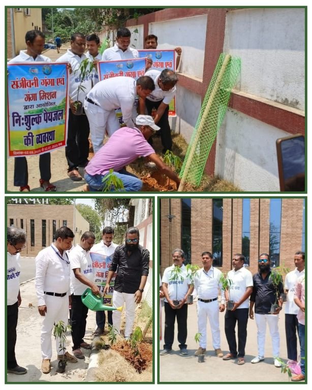 भागलपुर 02मई25पर्यावरण संरक्षण की दिशा में मालदा मंडल की सराहनीय पहल 