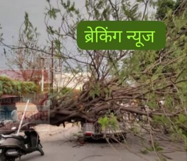हरिद्वार04मई2025*तेज आंधी से पेड़ गिरा।* हरिद्वार04मई2025*तेज आंधी से पेड़ गिरा।*