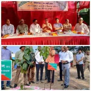 मथुरा06मई2025*वन ब्रज के 36 प्राचीन वनों का बदलेगा स्वरूप