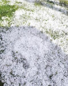 जम्मू कश्मीर19मई25*ओलावृष्टि से सेब की फसल नष्ट बांदीपोरा।