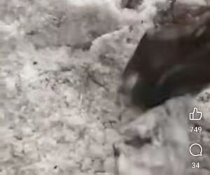 कुलगाम जम्मू कश्मीर24मई2025*कुलगाम में आया बर्फीला तूफ़ान