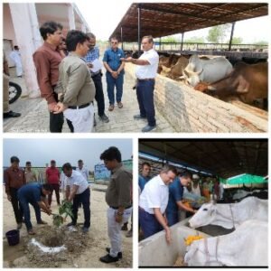 कानपुर देहात25मई25*विशेष सचिव ने अकबरपुर नगर पंचायत के कान्हा गौशाला तथा नंदी गौशाला का किया निरीक्षण*,