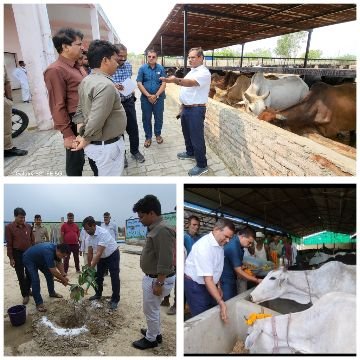 कानपुर देहात25मई25*विशेष सचिव ने अकबरपुर नगर पंचायत के कान्हा गौशाला तथा नंदी गौशाला का किया निरीक्षण*, कानपुर देहात25मई25*विशेष सचिव ने अकबरपुर नगर पंचायत के कान्हा गौशाला तथा नंदी गौशाला का किया निरीक्षण*,