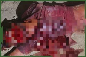 *सुल्तानपुर27मई25* शिवगढ़ थाने के औझी गांव में बीती रात युवक की पीट पीट कर हत्या।