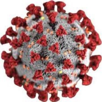 वाराणसी28मई25* कोरोना के नए वैरियंट NB 1.8.1 की दस्तक, बीएचयू में मिले दो पॉजिटिव केस