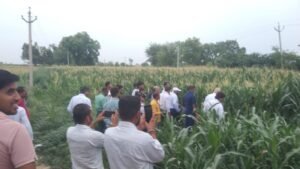 लखनऊ04जून25*विकसित कृषि अभियान कार्यक्रम का आयोजन लखनऊ04जून25*विकसित कृषि अभियान कार्यक्रम का आयोजन