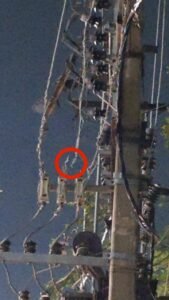 रोहतास9जून25*बिजली की बुरी स्थिति वह बिजली विभाग की मनमानी से शहर वासी हैं परेशान*