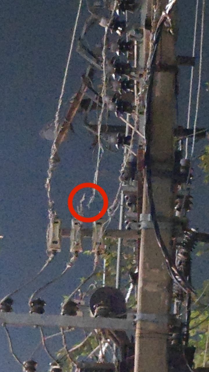 रोहतास9जून25*बिजली की बुरी स्थिति वह बिजली विभाग की मनमानी से शहर वासी हैं परेशान*