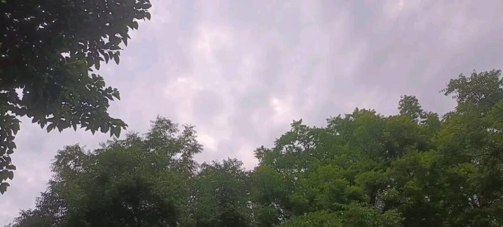 हरदोई18जून25*मौसमः बारिश के बाद उमस से बढ़ेगी परेशानीः फसलों पर मिला-जुला असर, हरदोई18जून25*मौसमः बारिश के बाद उमस से बढ़ेगी परेशानीः फसलों पर मिला-जुला असर,