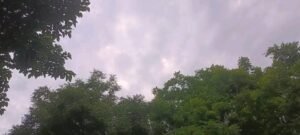 हरदोई18जून25*मौसमः बारिश के बाद उमस से बढ़ेगी परेशानीः फसलों पर मिला-जुला असर,