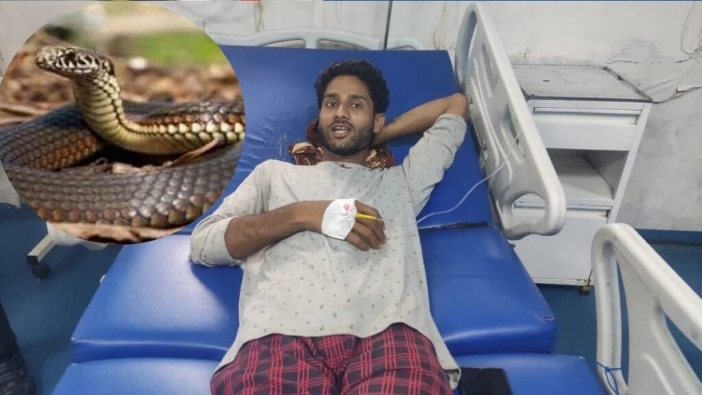 मध्यप्रदेश20जून25*युवक को डसकर सांप तड़प-तड़प कर मिनटों में मरा, रेंजर बोले- यह अति दुर्लभ है*