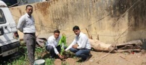 रोहतास6जून25*विश्व पर्यावरण दिवस के अवसर पर पोधा रोपन किया गया*