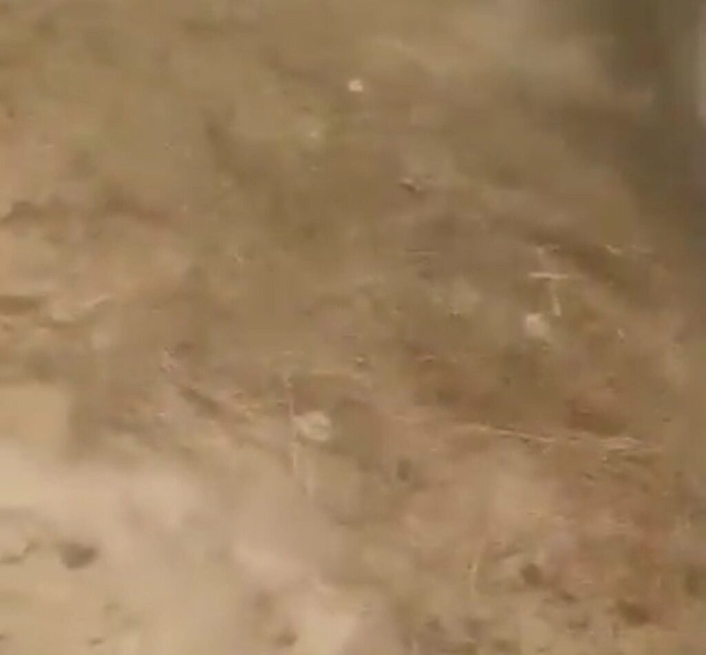 अलीगढ़10जून25*BJP कार्यकर्ता की दबंगई, विवादित जमीन पर दबाव बना कर किया कब्जा अलीगढ़10जून25*BJP कार्यकर्ता की दबंगई, विवादित जमीन पर दबाव बना कर किया कब्जा