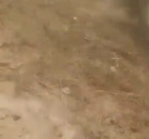 अलीगढ़10जून25*BJP कार्यकर्ता की दबंगई, विवादित जमीन पर दबाव बना कर किया कब्जा