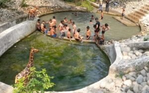 हरदोई14जून25*धोबिया आश्रम में प्लास्टिक प्रदूषण से वनस्पति को खतराः