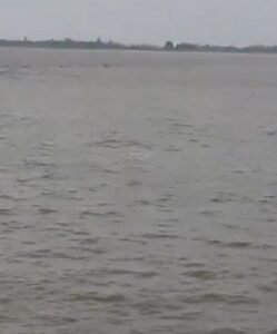 .गोंडा23जून25* से दिल दहला देने वाली घटना घाघरा नदी में मगरमच्छ ने बच्चे को बनाया निवाला