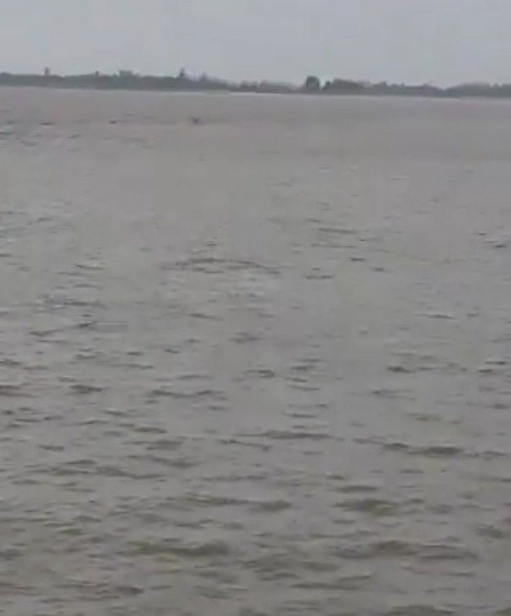 .गोंडा23जून25* से दिल दहला देने वाली घटना घाघरा नदी में मगरमच्छ ने बच्चे को बनाया निवाला